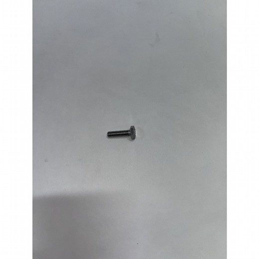 QUICKSILVER SCREW 